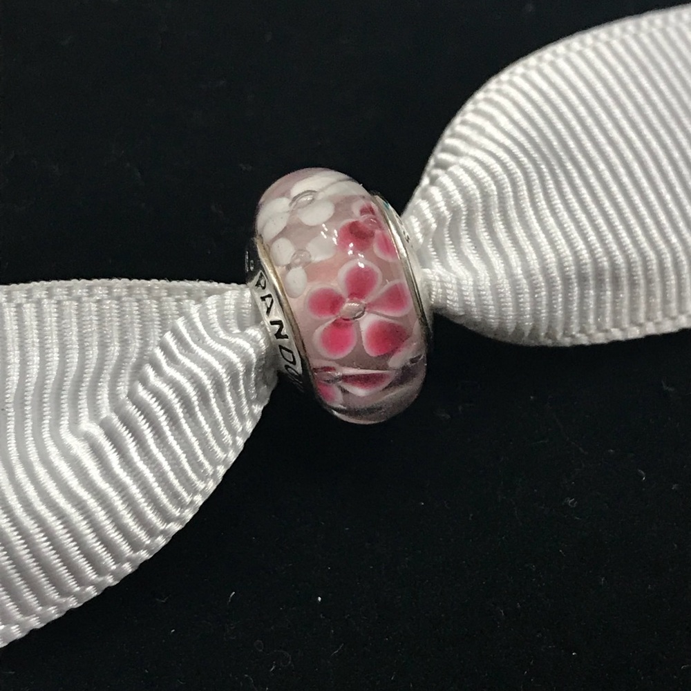 💗 Pandora Charm